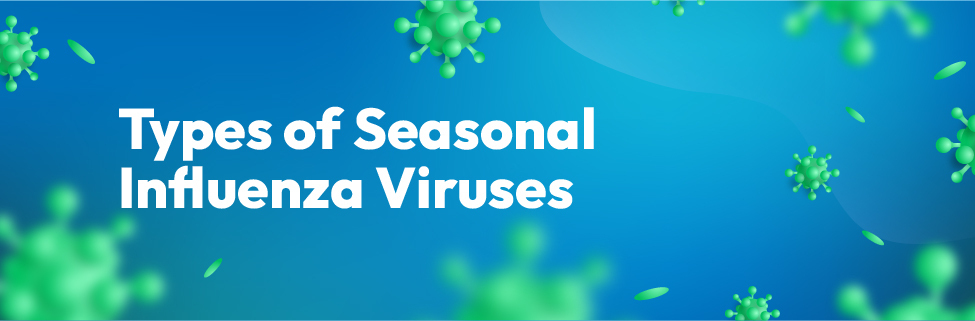 Types of Seasonal Influenza Viruses