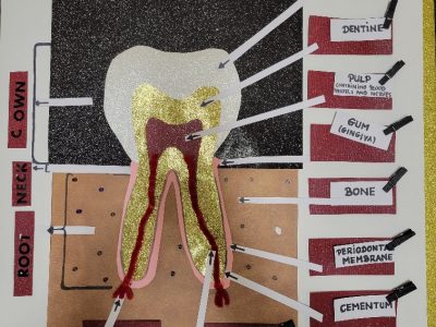 20220219_090824_resized